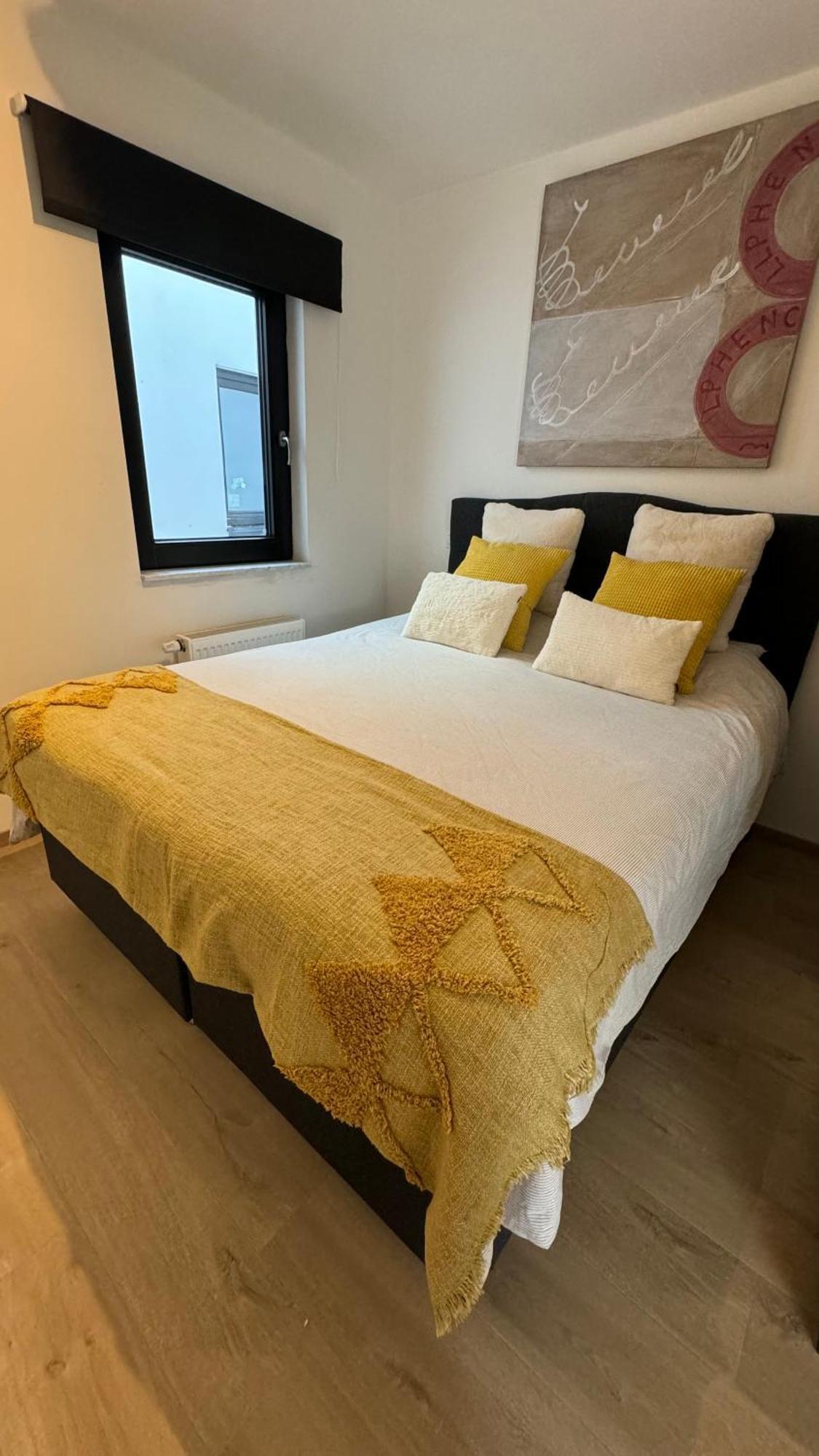 Апартаменти Viki'S Penthousje Бланкенберге Екстер'єр фото